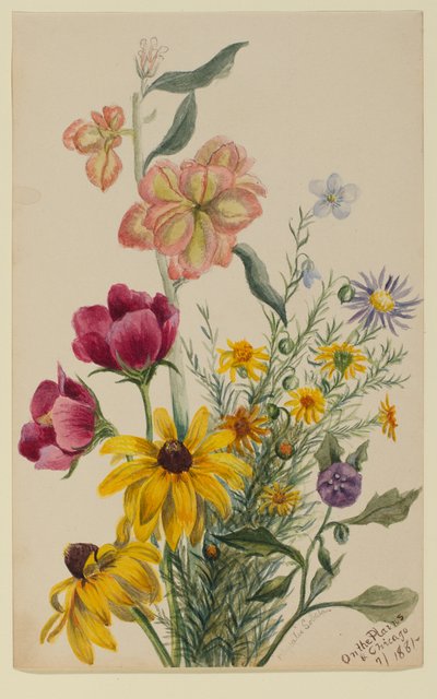  av Mary Vaux Walcott