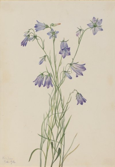  av Mary Vaux Walcott