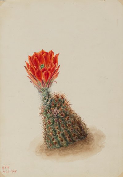  av Mary Vaux Walcott