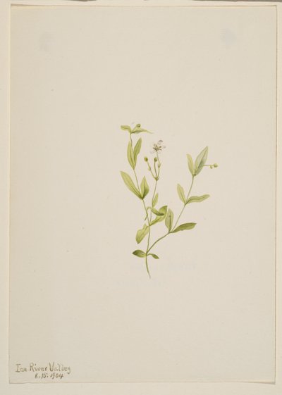  av Mary Vaux Walcott