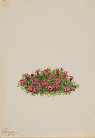  av Mary Vaux Walcott