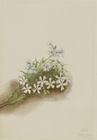  av Mary Vaux Walcott