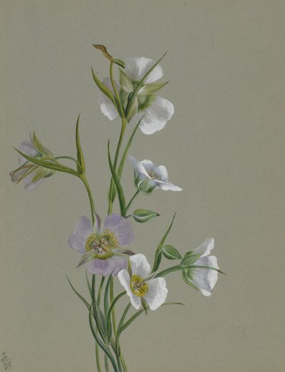  av Mary Vaux Walcott