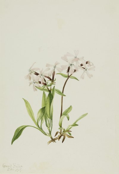  av Mary Vaux Walcott