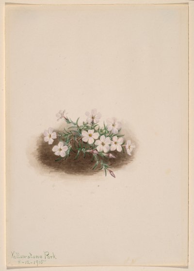 av Mary Vaux Walcott