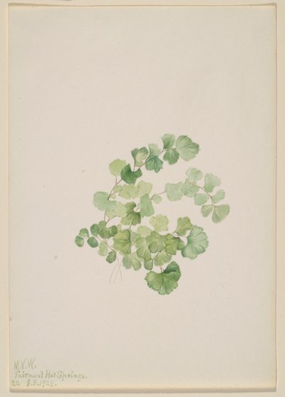  av Mary Vaux Walcott