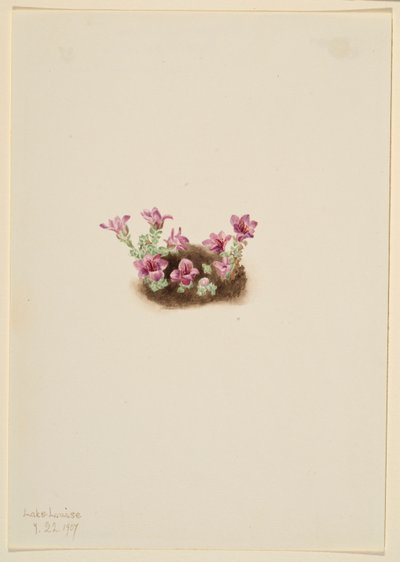  av Mary Vaux Walcott