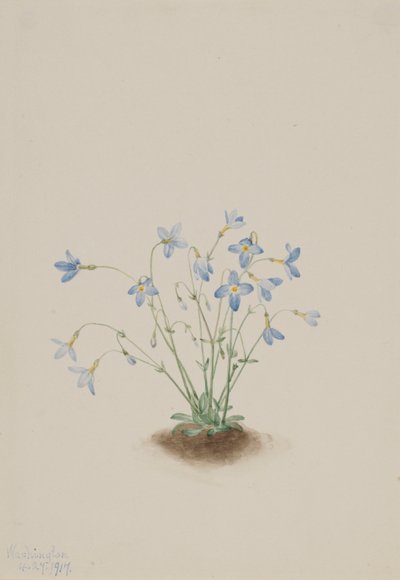  av Mary Vaux Walcott