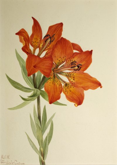  av Mary Vaux Walcott