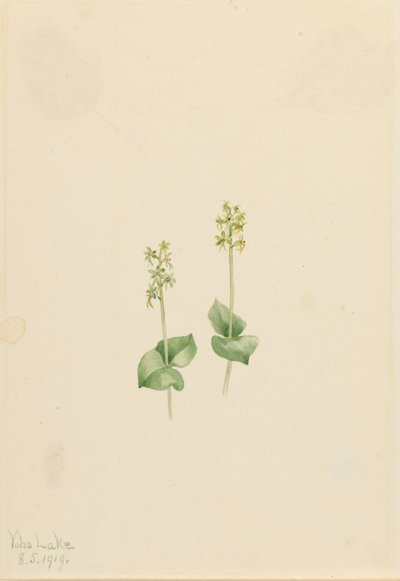  av Mary Vaux Walcott