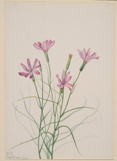  av Mary Vaux Walcott