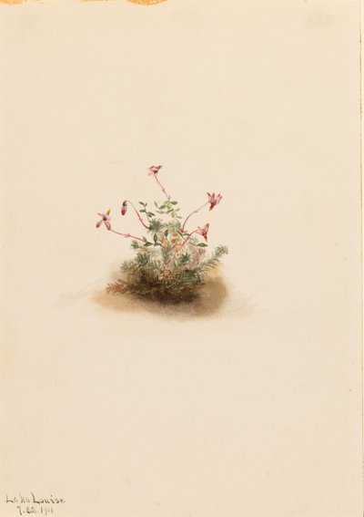  av Mary Vaux Walcott