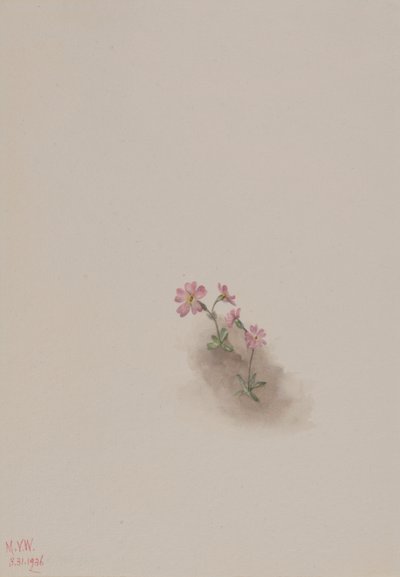  av Mary Vaux Walcott