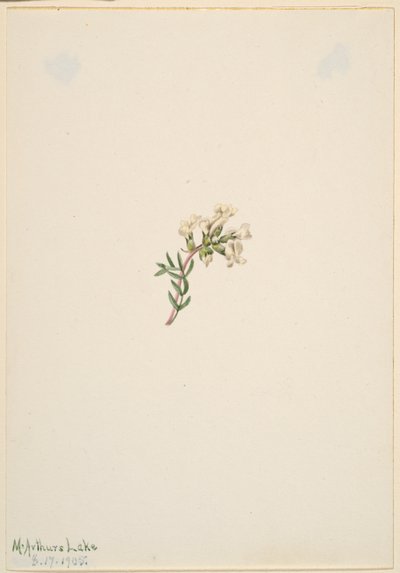  av Mary Vaux Walcott