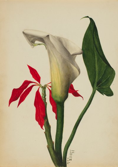  av Mary Vaux Walcott