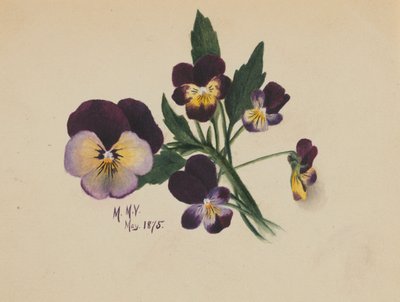  av Mary Vaux Walcott