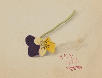  av Mary Vaux Walcott