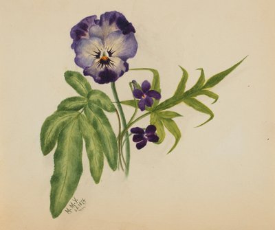  av Mary Vaux Walcott