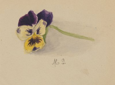  av Mary Vaux Walcott