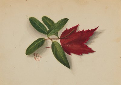  av Mary Vaux Walcott