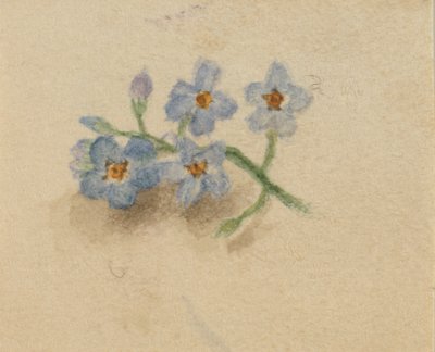 Uten tittel, 1874. av Mary Vaux Walcott