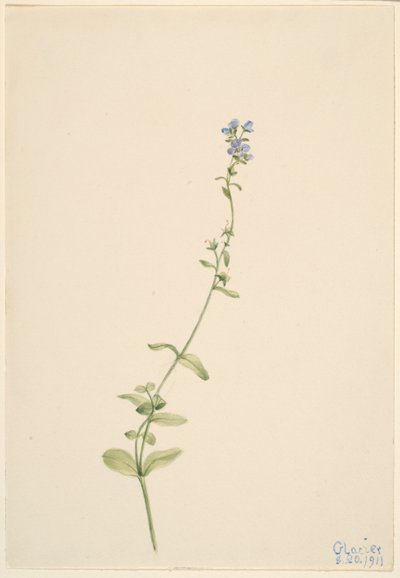  av Mary Vaux Walcott