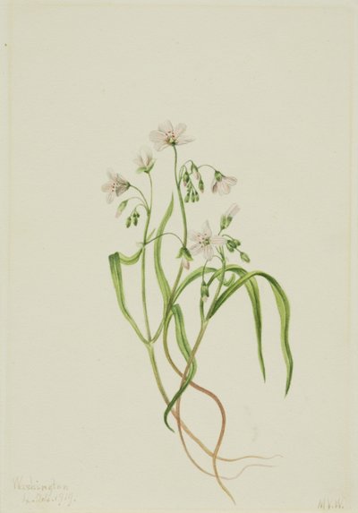  av Mary Vaux Walcott