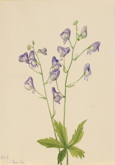  av Mary Vaux Walcott