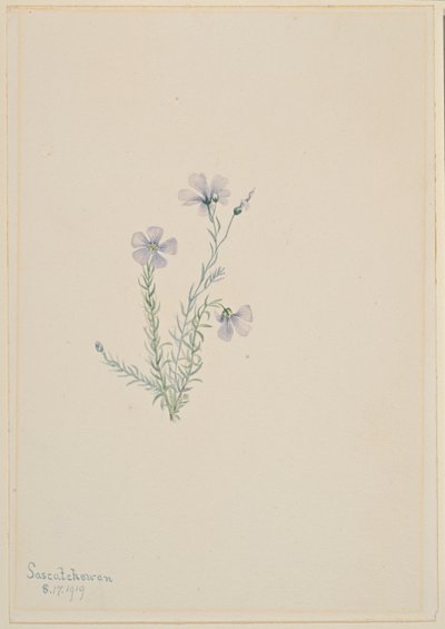  av Mary Vaux Walcott
