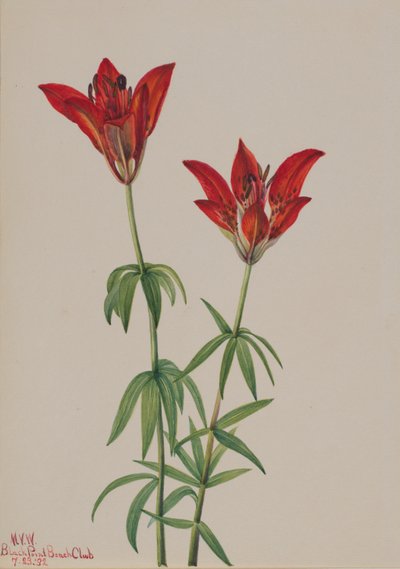  av Mary Vaux Walcott