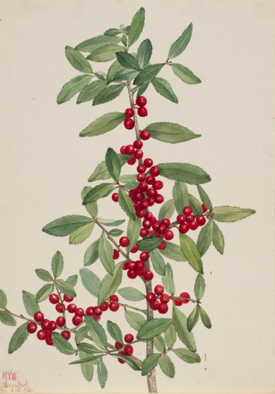  av Mary Vaux Walcott