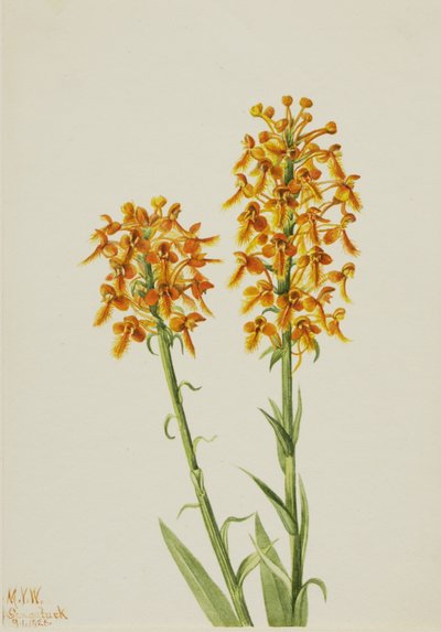  av Mary Vaux Walcott