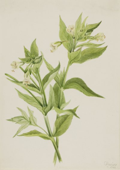  av Mary Vaux Walcott
