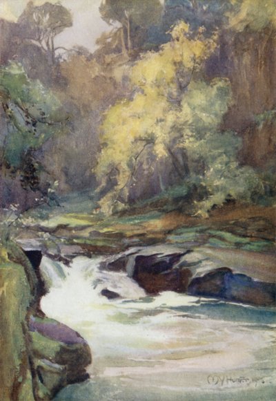 Wallace's Leap, nær Lanark (farge litho) av Mary Young Hunter