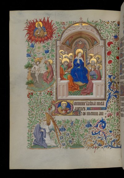 pinse av Master Dunois