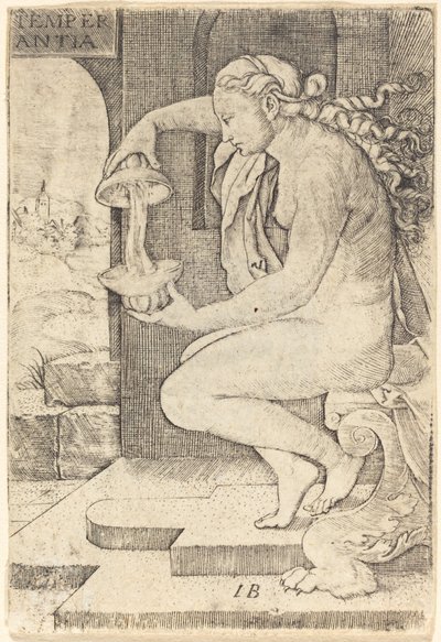 Temperanse av Master IB