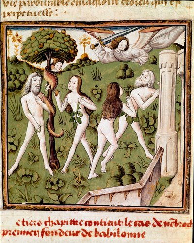 Adam og Eva plukker den forsvarte frukten Miniature of the Master of the Champion of Ladies (1400-tallet) fra manuskriptet "" Des hommes illustres"" av Giovanni Boccaccio (Jean Boccaccio) (1313-1375). 1400-tallet. Carpentras. Inguimbertine bibliotek av Master of the Champion des Dames