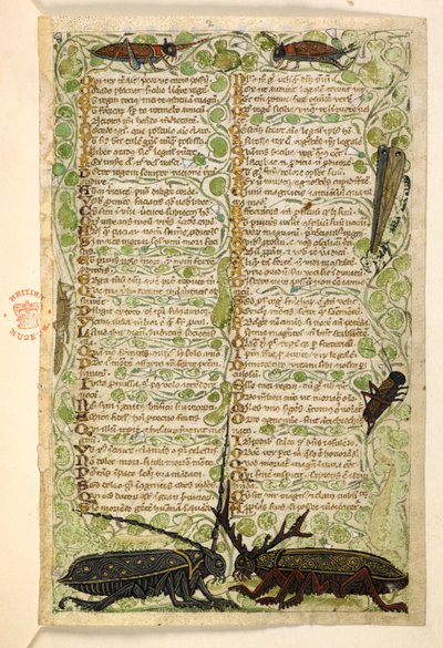Legge til. 28841, f.2: Hornbiller, sirisser og locus.  Avhandling om dyder og laster, og en anonym prosahistorie på Sicilia (fragment)  Cocharelli av Master of the Cocharelli Codex