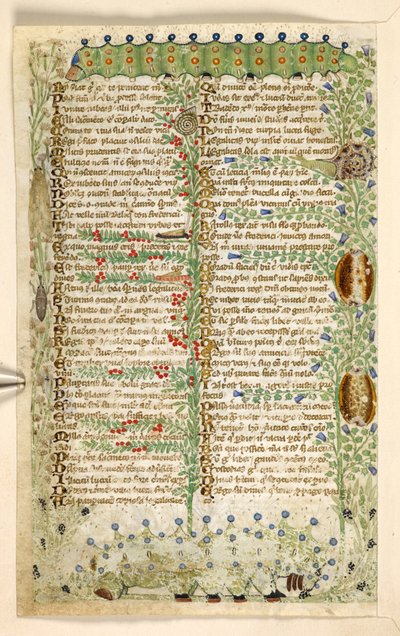 Legge til. 28841, f.2v: Larver, snegler og andre insekter, fra en avhandling om dyder og laster, og en anonym prosahistorie på Sicilia (fragment), ca. 1330-40 (vellum) av Master of the Cocharelli Codex