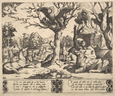 En føniks satt på toppen av et tre, åpne vinger, et utvalg av dyr under, 1530-60. av Master of the Die