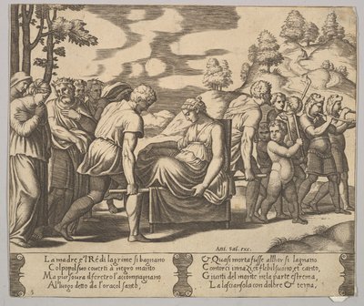 Plate 5: Psyche bar på et kull til et fjell, fra 