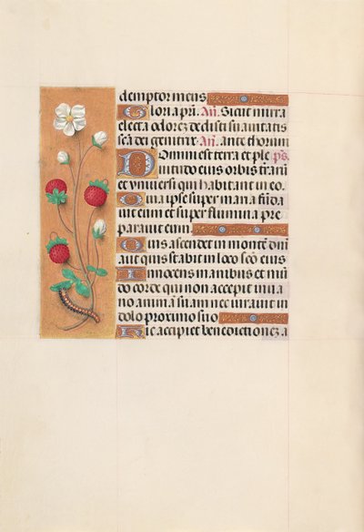 Hours of Queen Isabella the Catholic, Queen of Spain: Fol. 102v, ca. 1500. av Master of the First Prayerbook of Maximillian