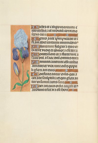 Hours of Queen Isabella the Catholic, Queen of Spain: Fol. 108v, ca. 1500. av Master of the First Prayerbook of Maximillian