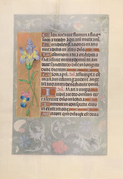 Hours of Queen Isabella the Catholic, Queen of Spain: Fol. 116v, ca. 1500. av Master of the First Prayerbook of Maximillian