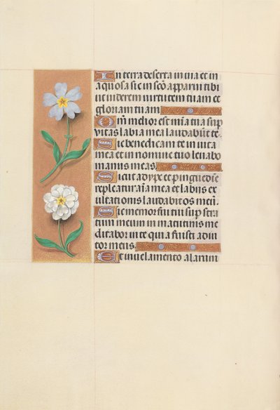 Hours of Queen Isabella the Catholic, Queen of Spain: Fol. 117v, ca. 1500. av Master of the First Prayerbook of Maximillian
