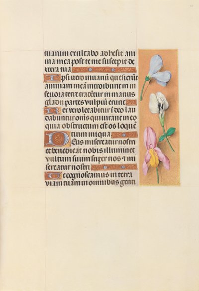 Hours of Queen Isabella the Catholic, Queen of Spain: Fol. 118r, ca. 1500. av Master of the First Prayerbook of Maximillian