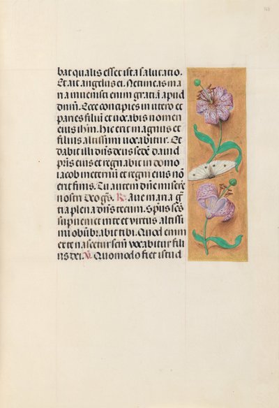 Hours of Queen Isabella the Catholic, Queen of Spain: Fol. 163r, ca. 1500. av Master of the First Prayerbook of Maximillian