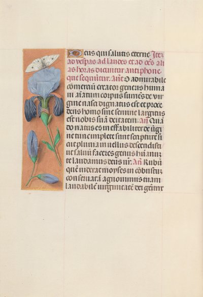 Hours of Queen Isabella the Catholic, Queen of Spain: Fol. 165v, ca. 1500. av Master of the First Prayerbook of Maximillian