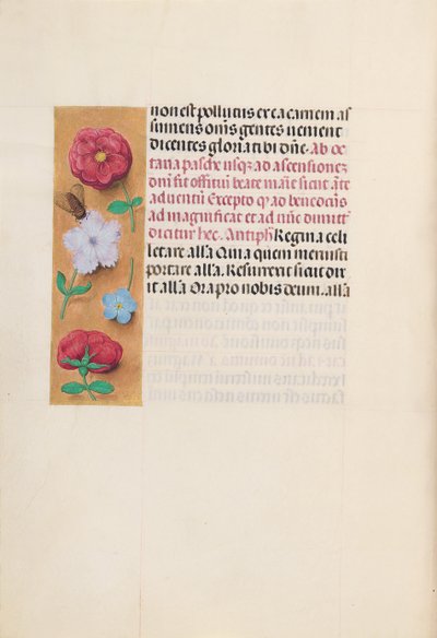 Hours of Queen Isabella the Catholic, Queen of Spain: Fol. 166v, ca. 1500. av Master of the First Prayerbook of Maximillian