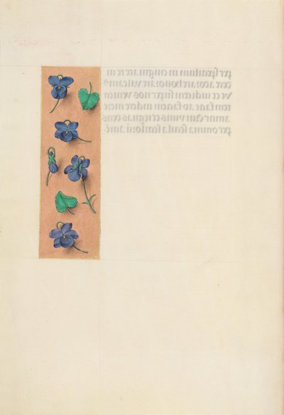 Hours of Queen Isabella the Catholic, Queen of Spain: Fol. 16v, kort kant, ca. 1500. av Master of the First Prayerbook of Maximillian